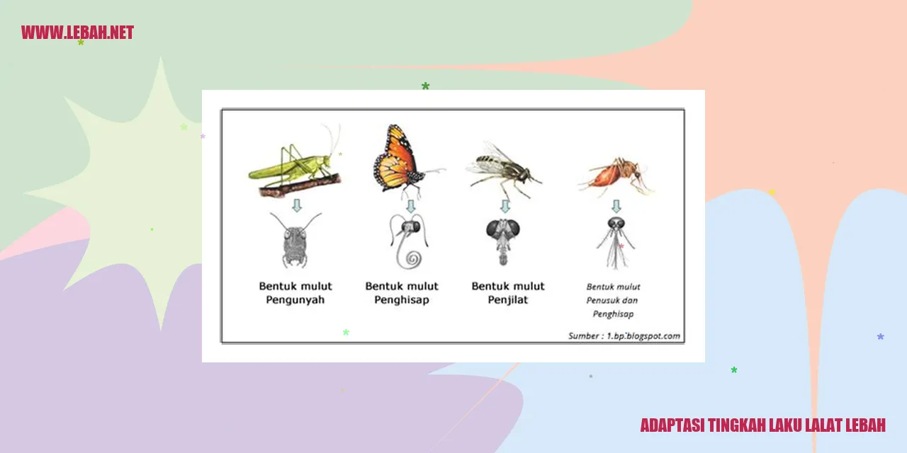 Perangkat Pemanen Lebah