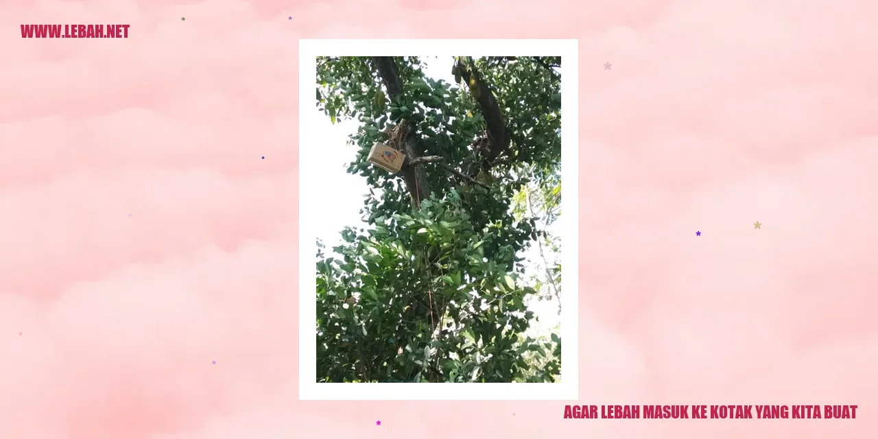 agar lebah masuk ke kotak yang kita buat