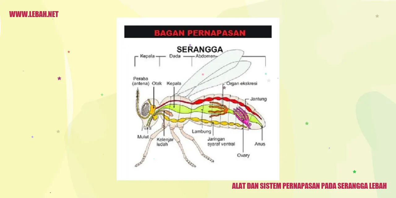 Serangga Lebah