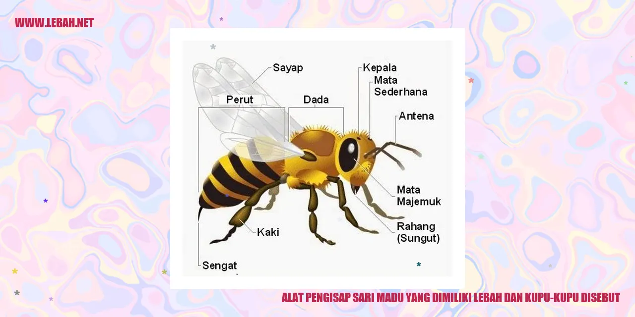 Alat Pengisap Sari Madu