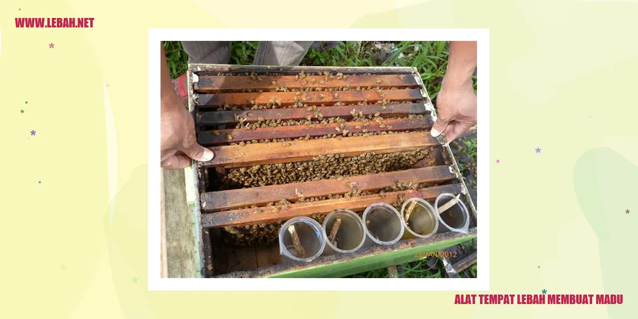 alat tempat lebah membuat madu