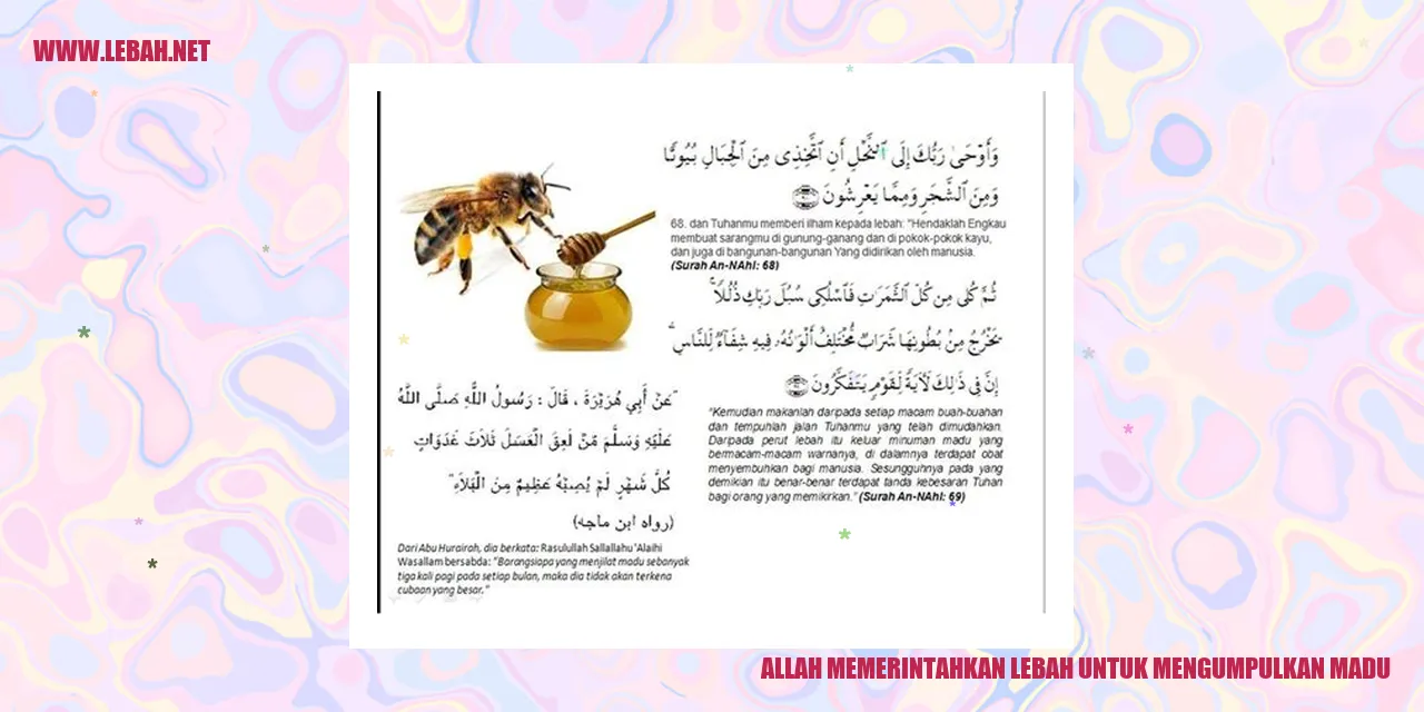 Allah memerintahkan lebah untuk mengumpulkan madu