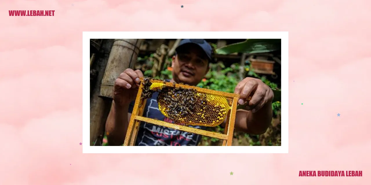 Aneka Budidaya Lebah