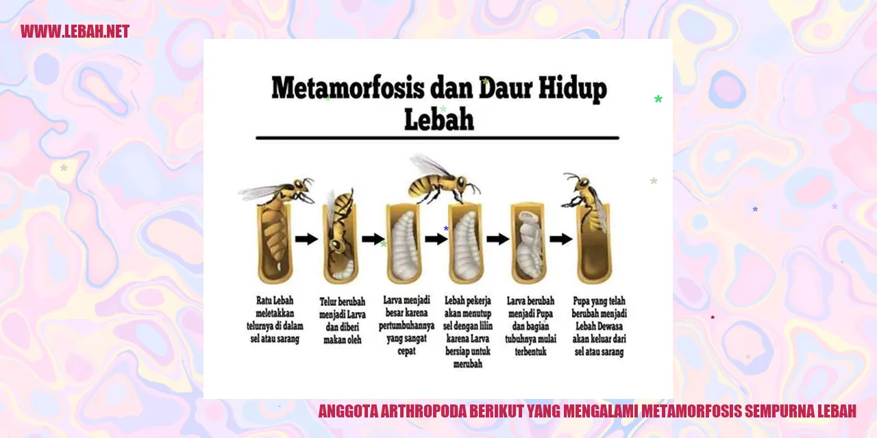 Gambar Lebah