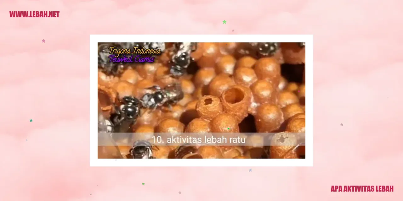 Apa Aktivitas Lebah