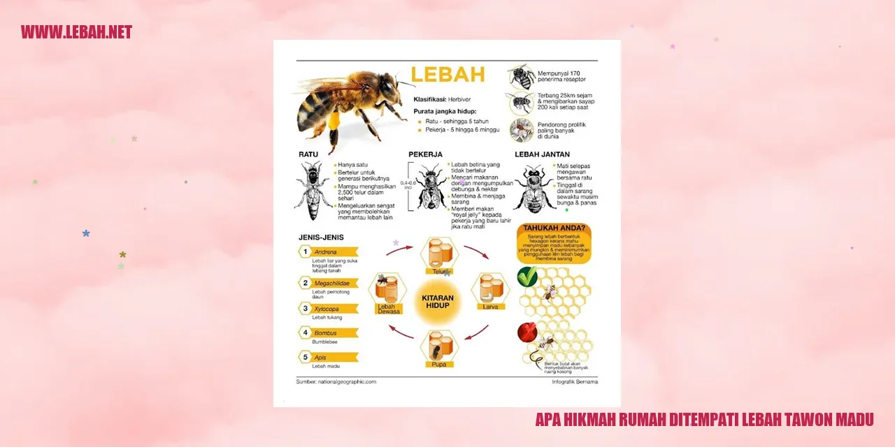 Lebah Tawon Madu