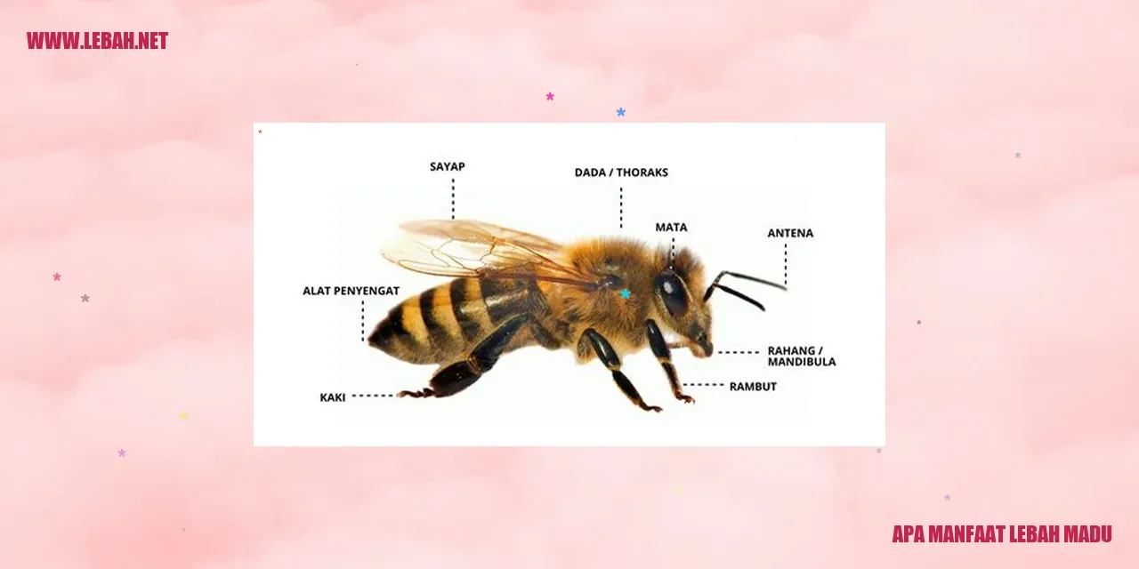 Sistem Kekebalan Tubuh