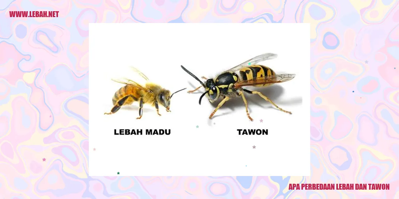 Gambar Perbedaan Lebah dan Tawon