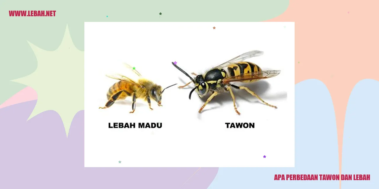 Perbedaan Tawon dan Lebah