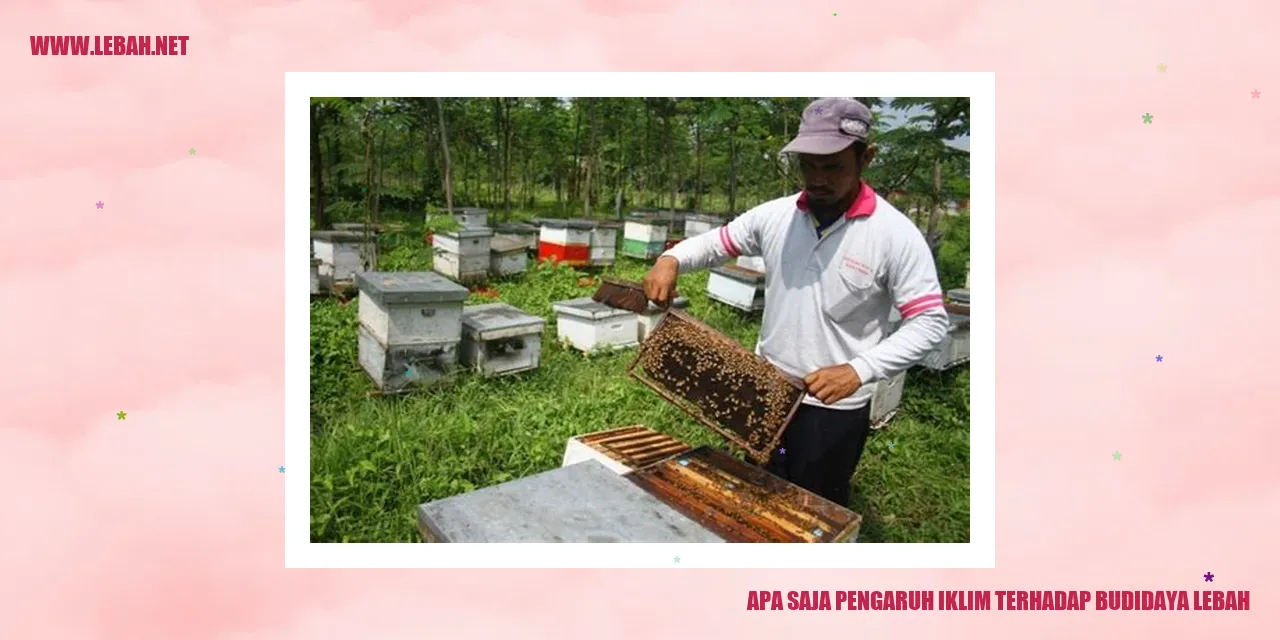 pengaruh iklim terhadap budidaya lebah