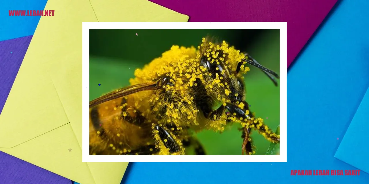 Varroa destructor