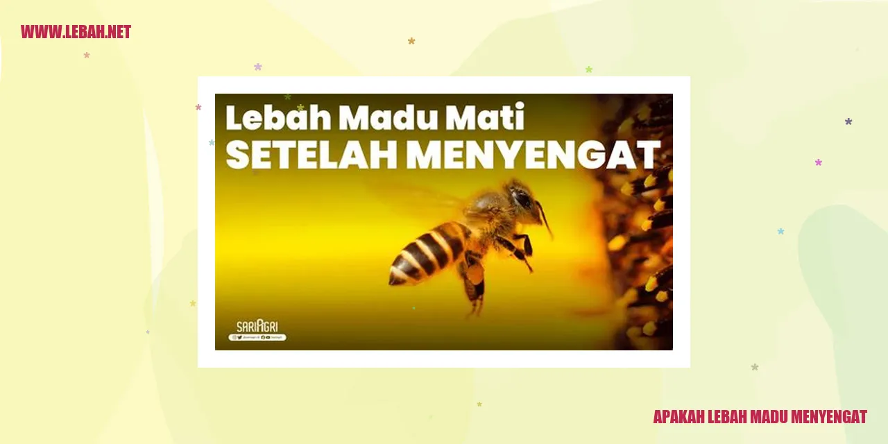 lebah madu