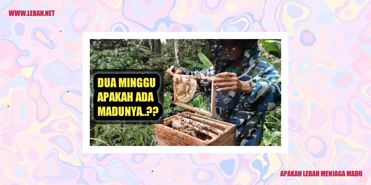 lebah