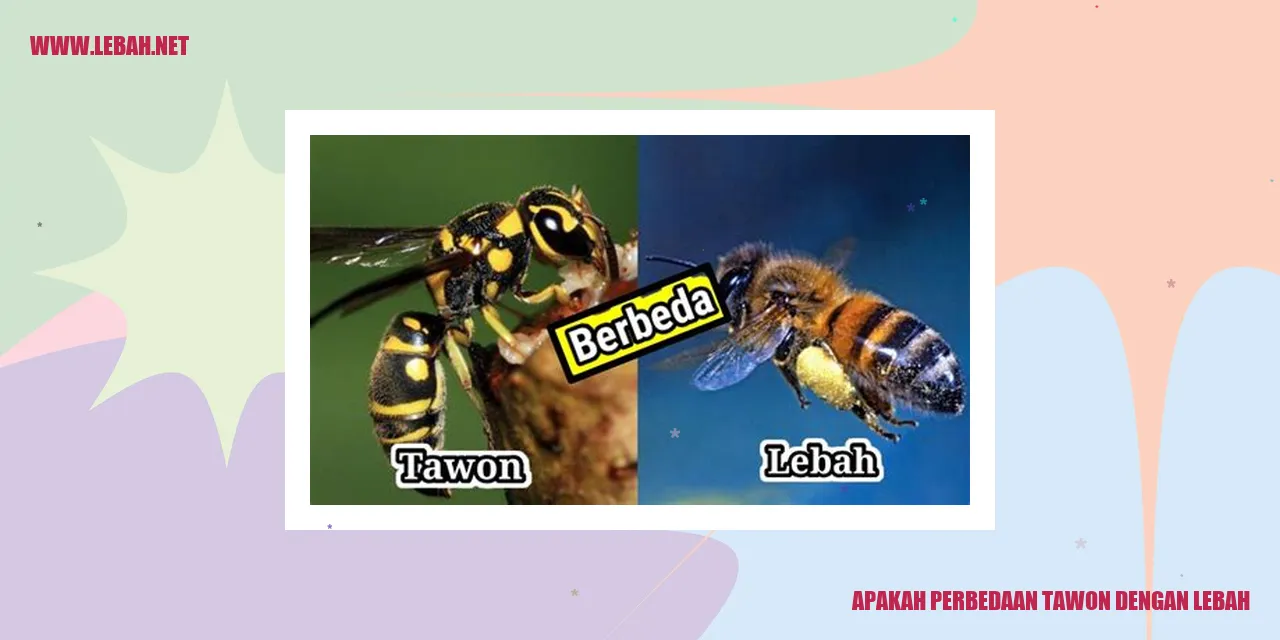 perbedaan tawon dengan lebah