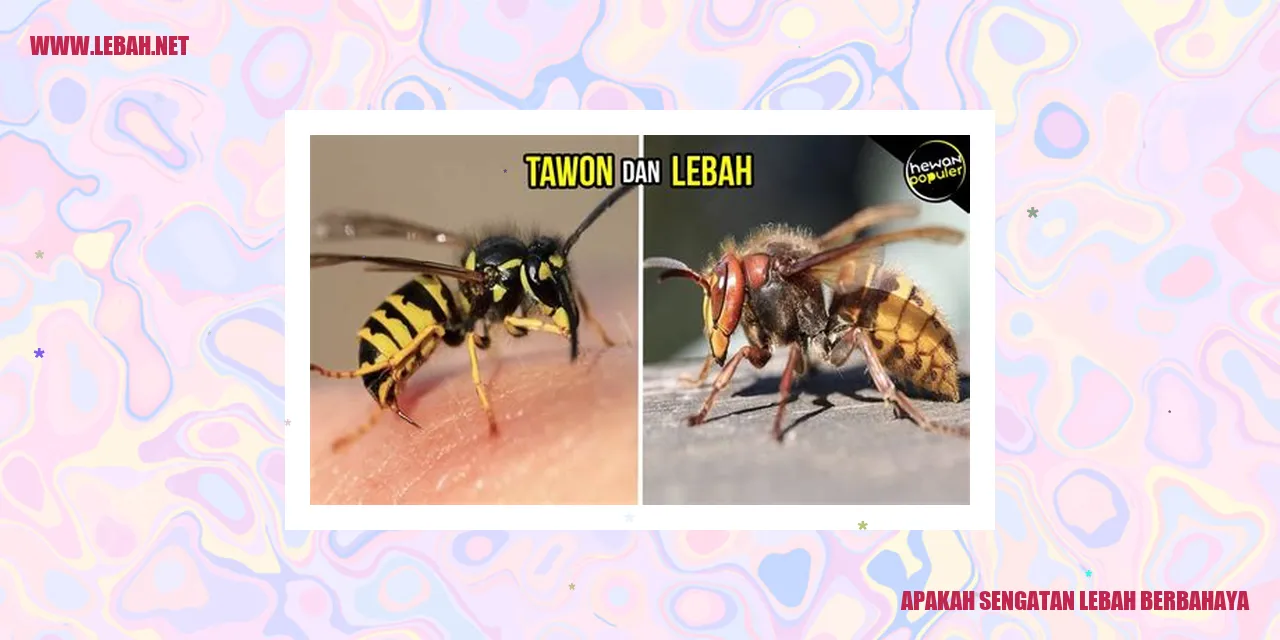 Gambar Sengatan Lebah