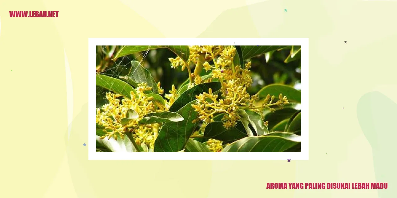 Aroma yang Paling Disukai Lebah Madu