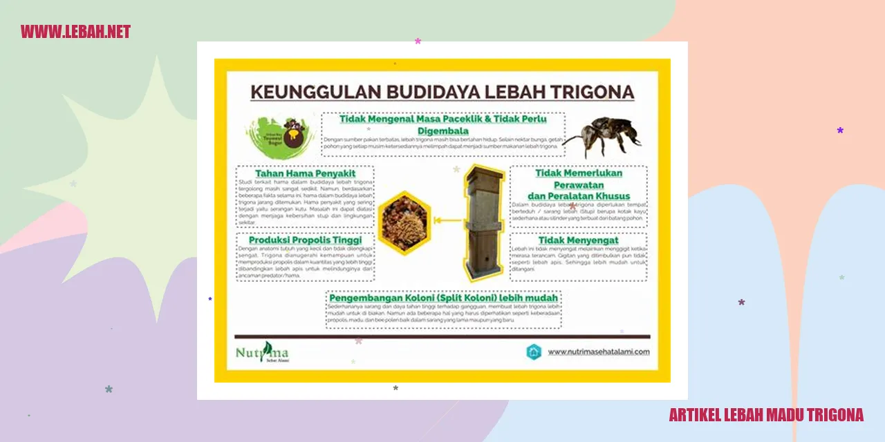 Lebah Madu Trigona