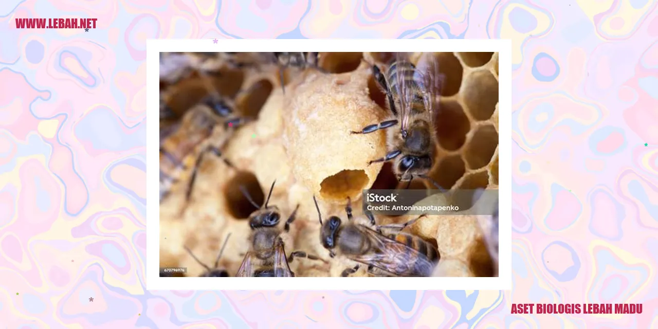 aset biologis lebah madu