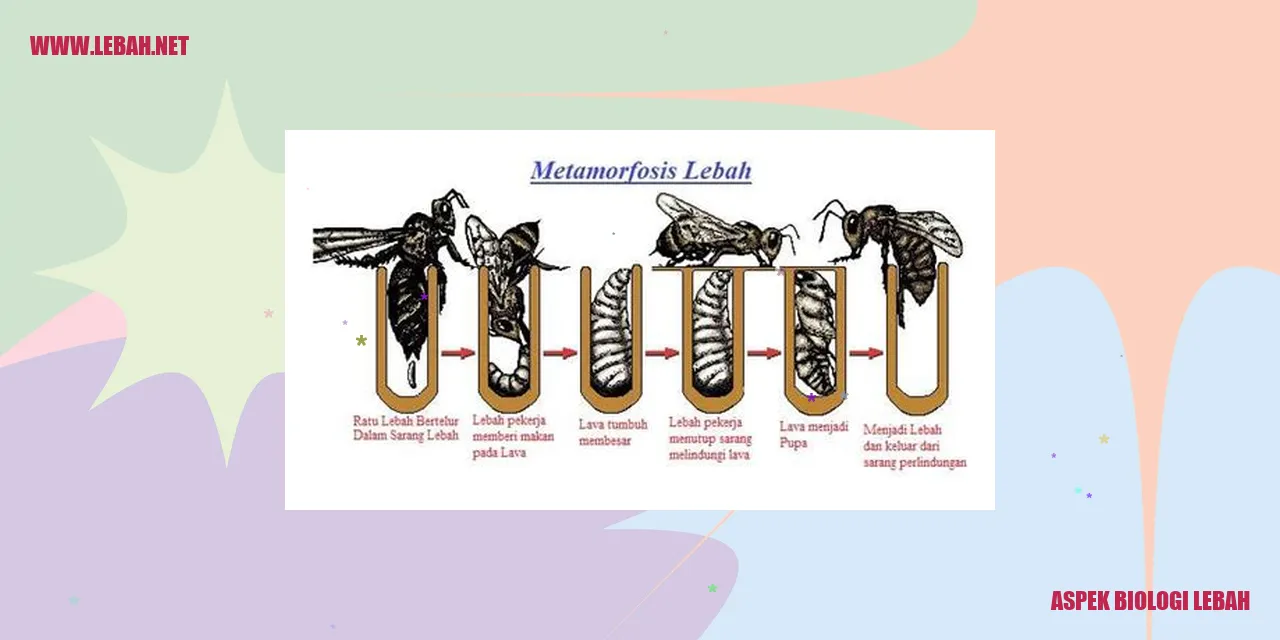 Lebah sedang mempollinasi bunga