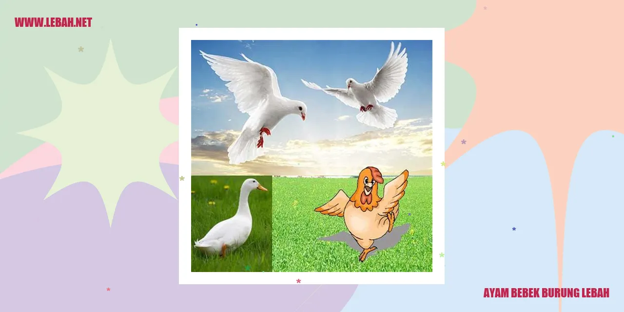 Ayam