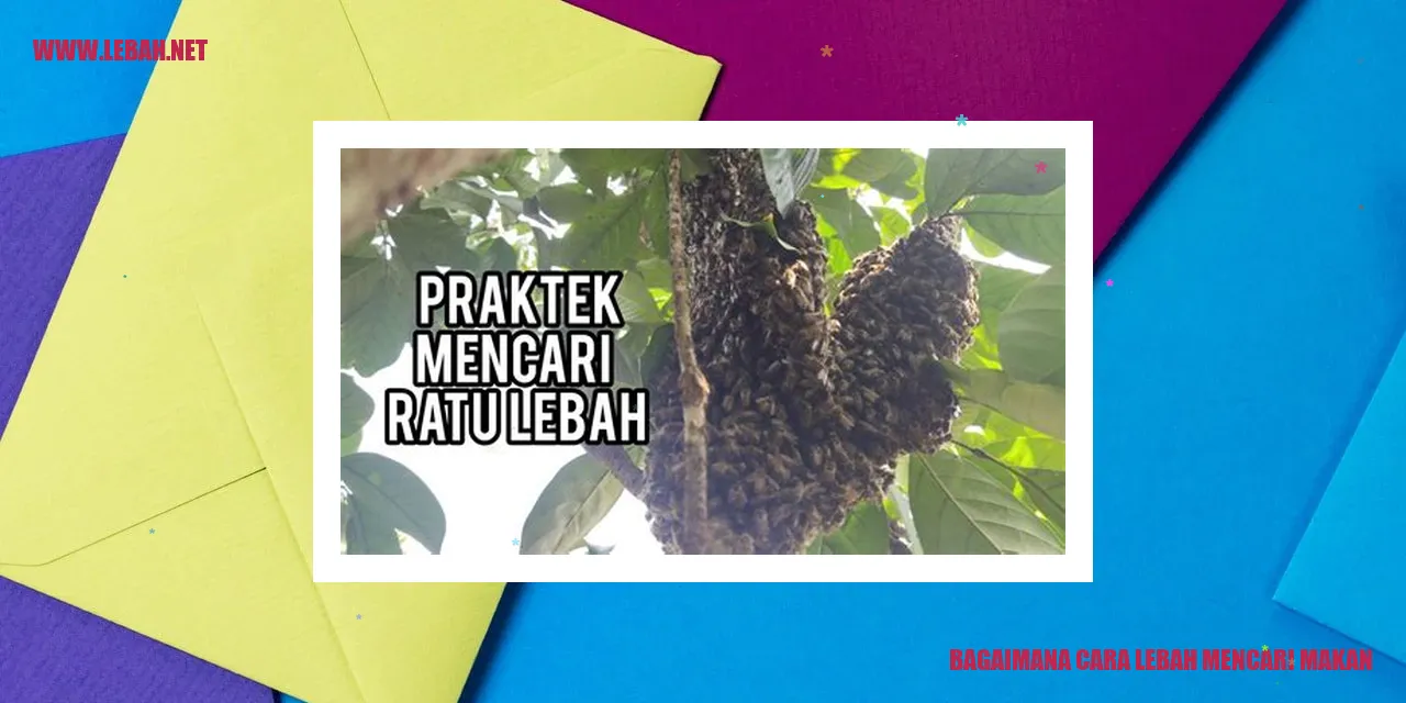 Lebah sedang mencari makan