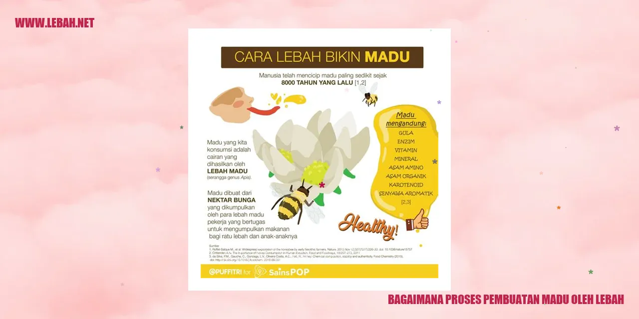 Proses Pembuatan Madu oleh Lebah