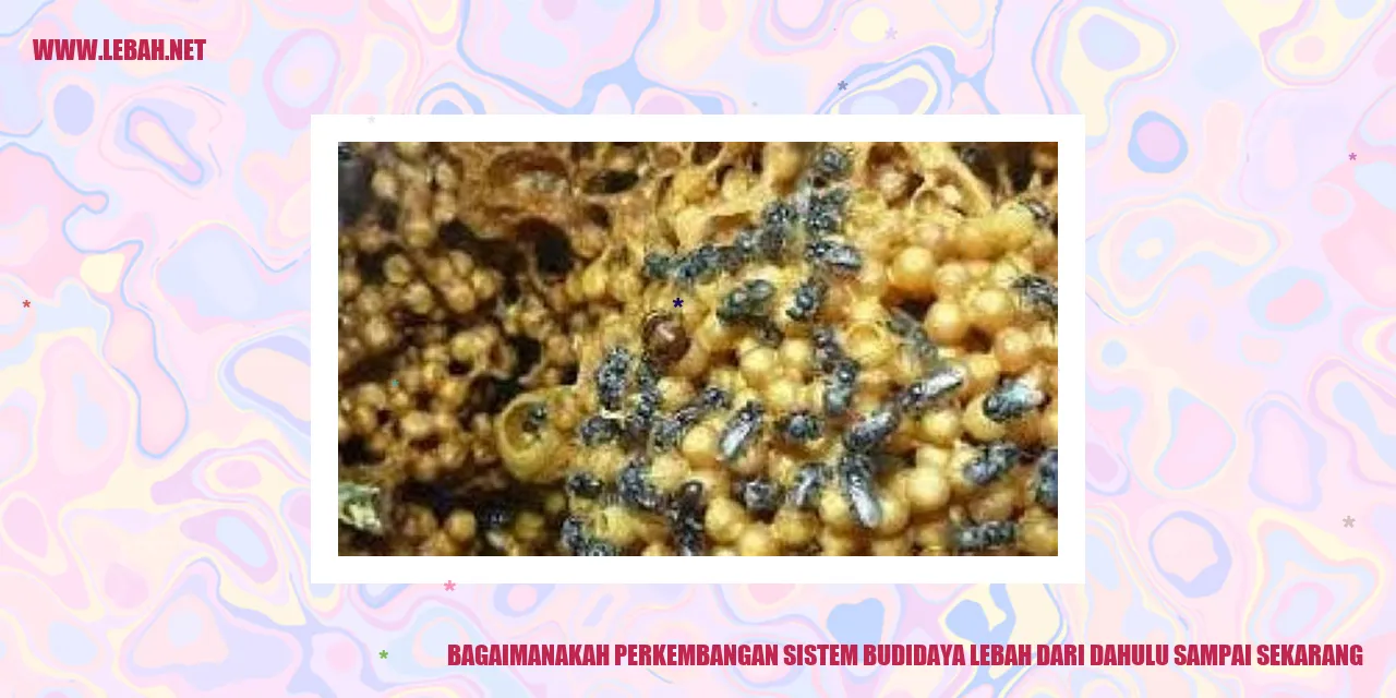 Sistem Budidaya Lebah