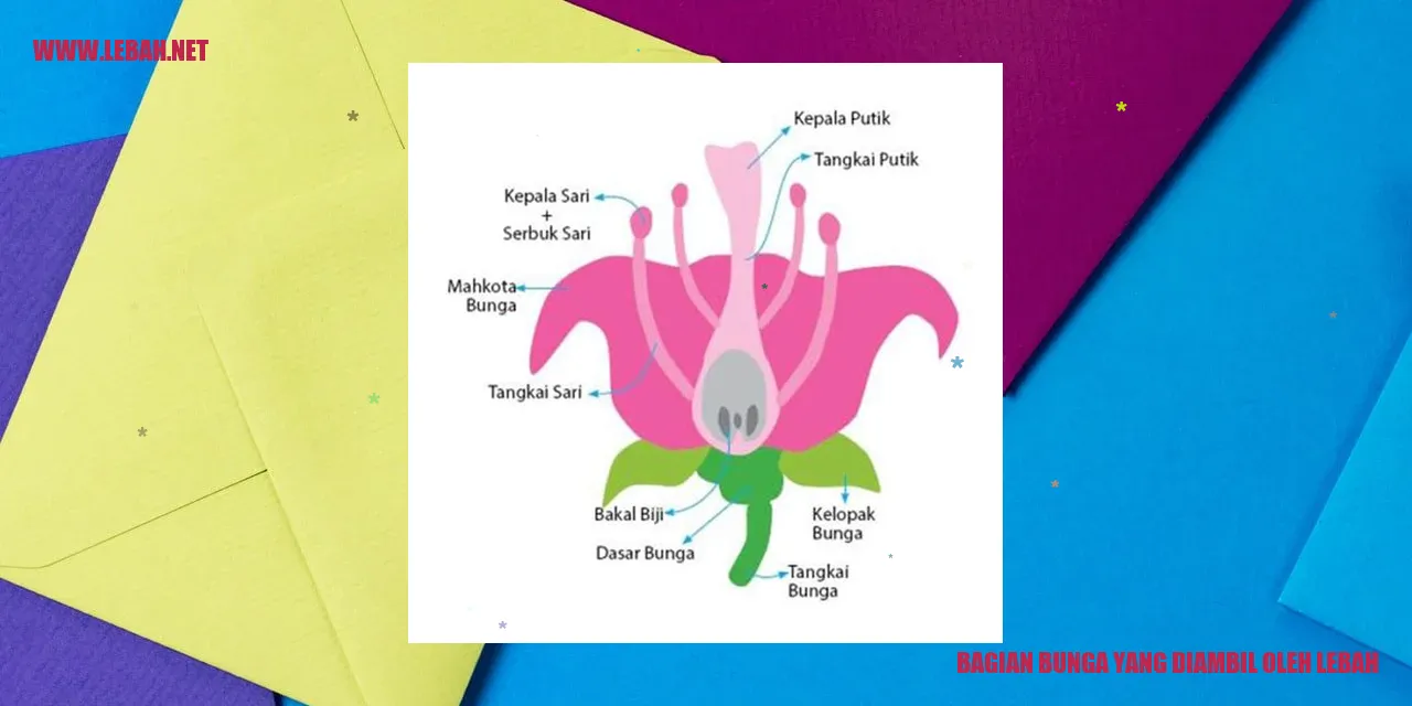 Lebah mengumpulkan nectar dari bunga