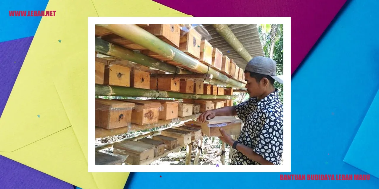 bantuan budidaya lebah madu