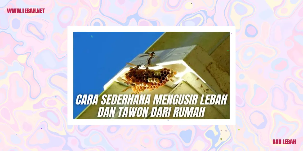 bau lebah