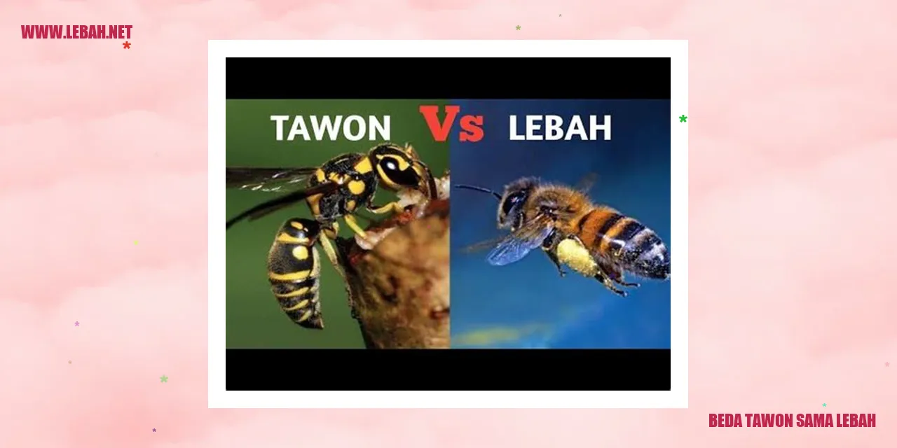 beda tawon sama lebah