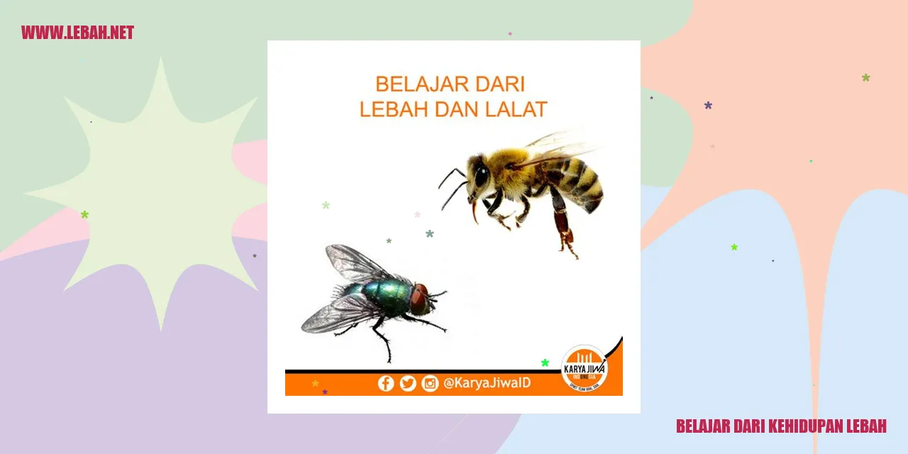 belajar dari kehidupan lebah