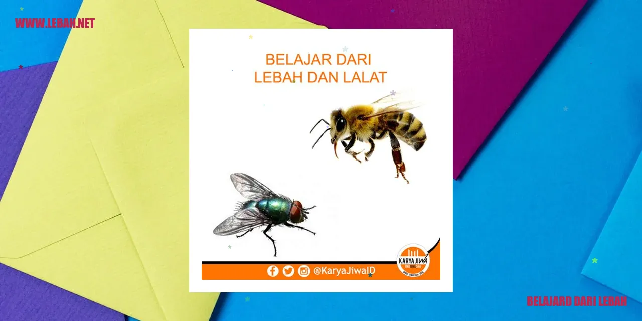 Belajar dari Lebah
