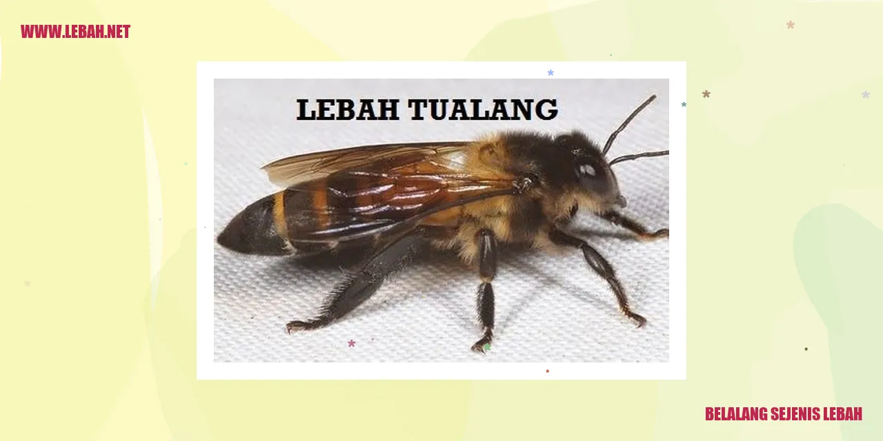 Belalang Sejenis Lebah