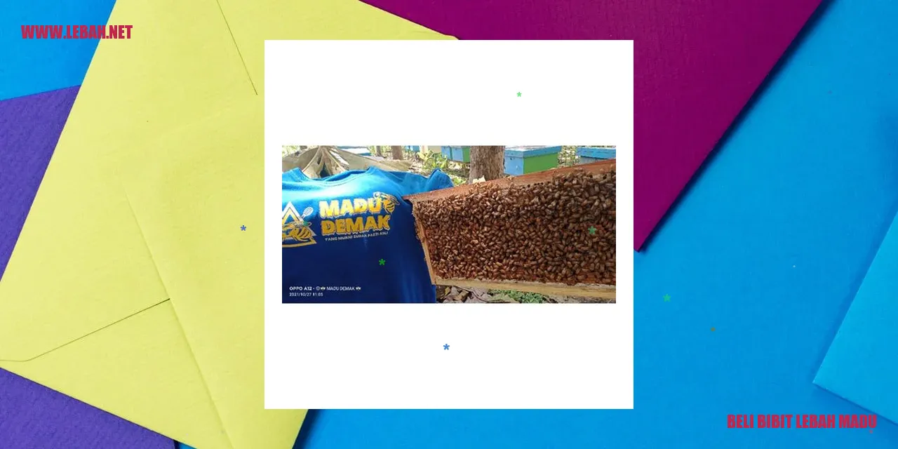 beli bibit lebah madu