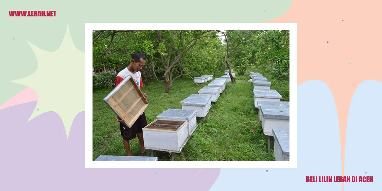 beli lilin lebah di aceh
