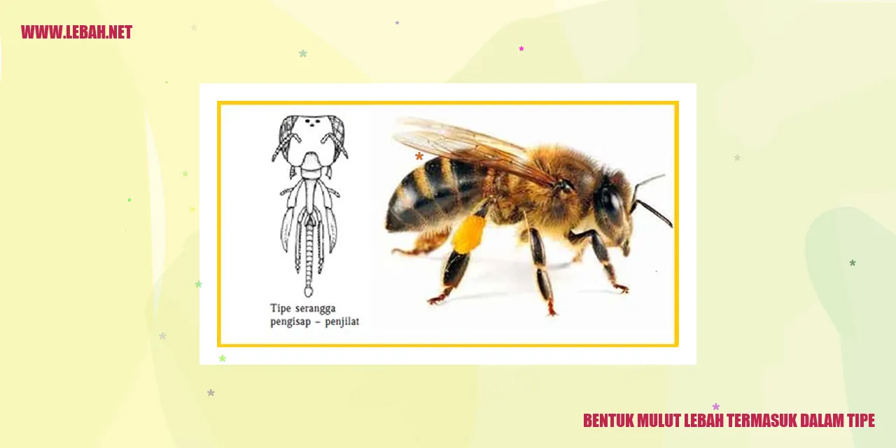 Bentuk Mulut Lebah termasuk dalam Tipe