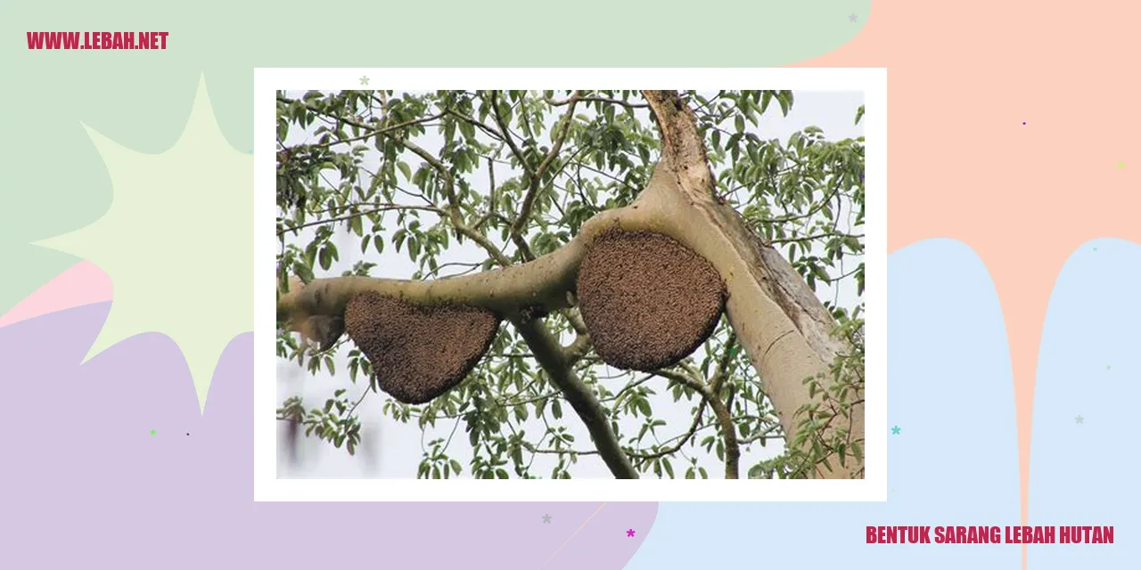 Bentuk Sarang Lebah Hutan