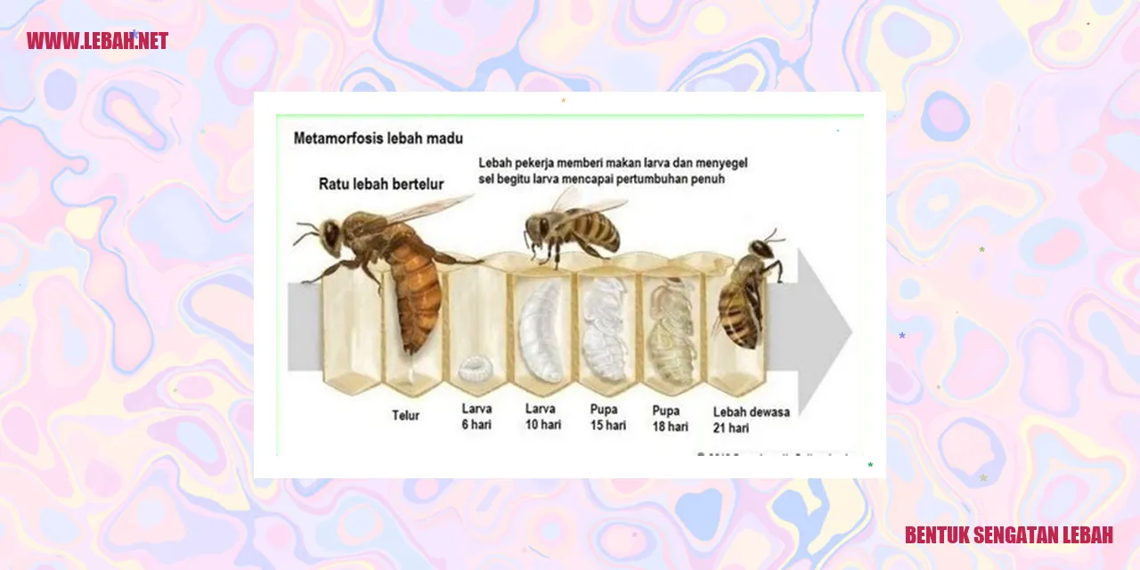 Bentuk Sengatan Lebah