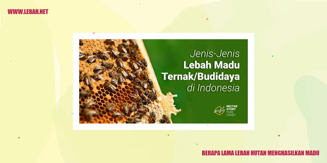 Gambar Lebah Hutan Menghasilkan Madu