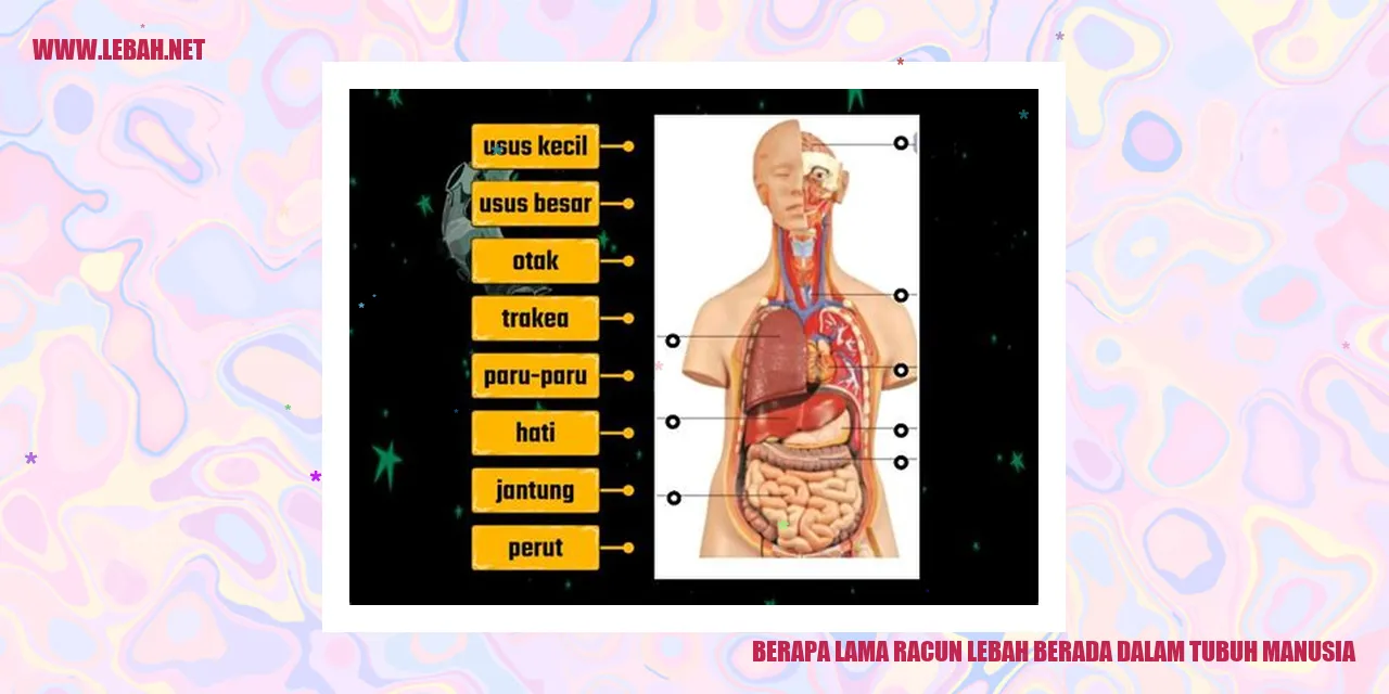 Berapa Lama Racun Lebah Berada dalam Tubuh Manusia