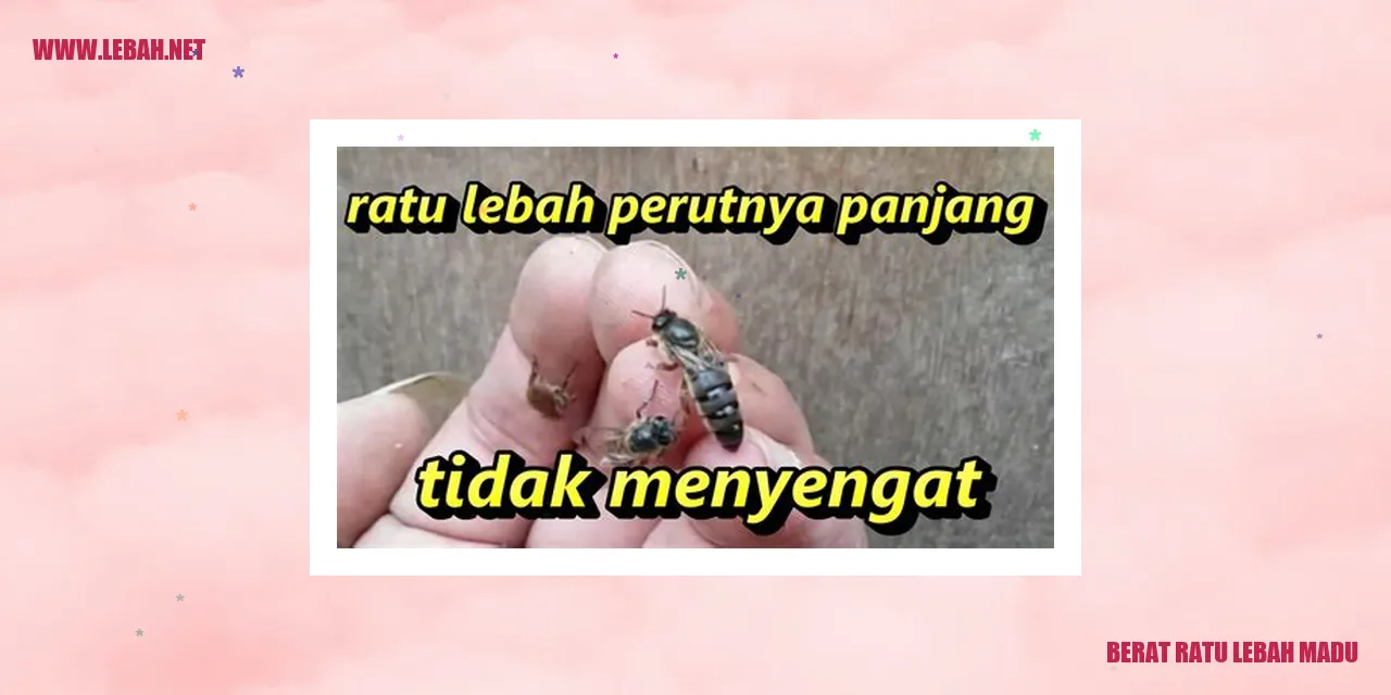 Berat Ratu Lebah Madu