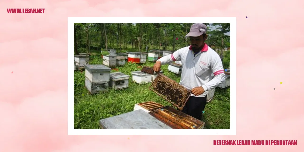 beternak lebah madu di perkotaan