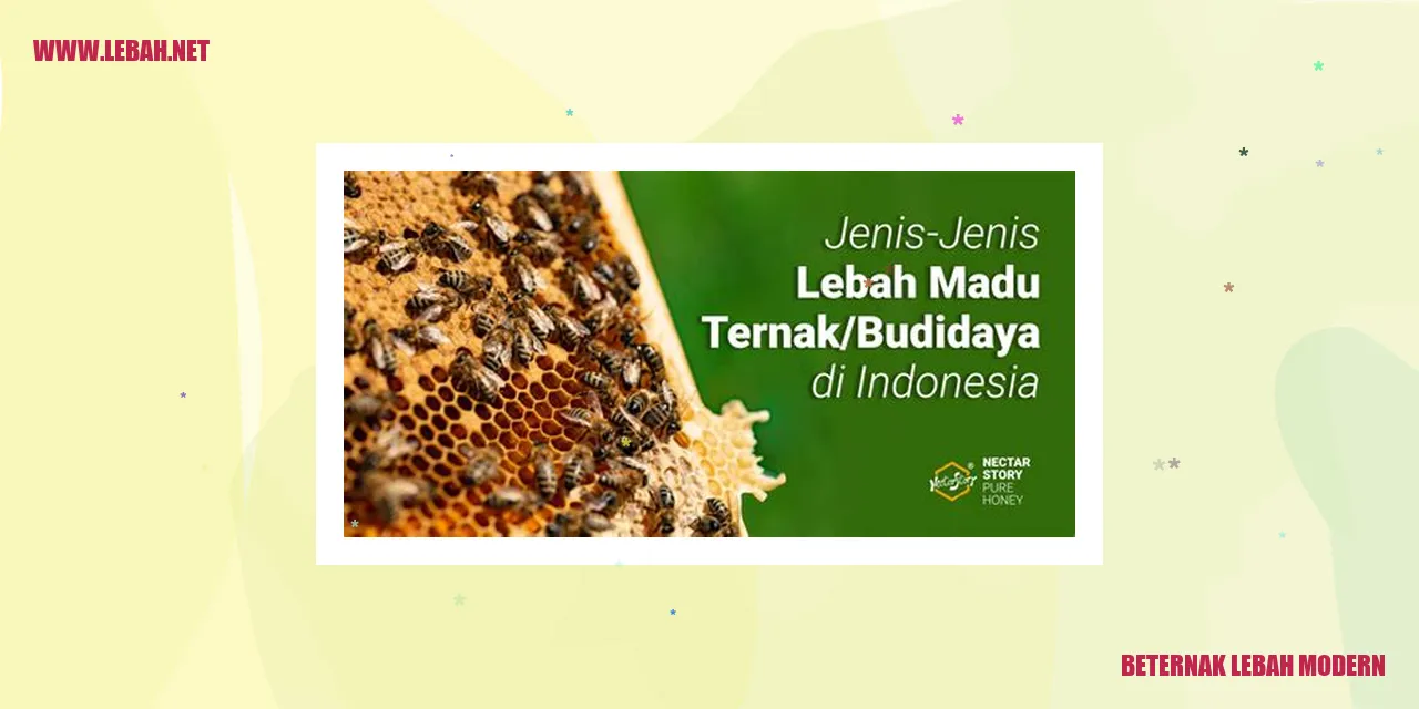 Gambar beternak lebah modern