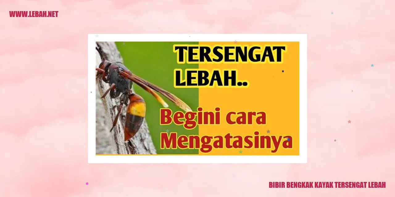 Bibir Bengkak Kayak Tersengat Lebah