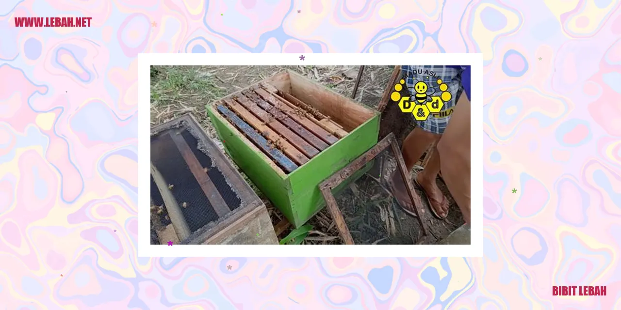 Bibit Lebah