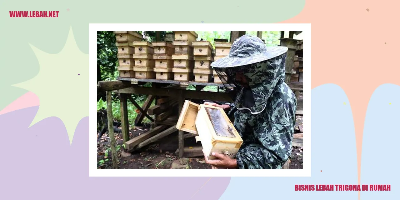 bisnis lebah trigona di rumah