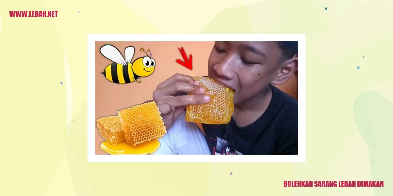 sarang lebah