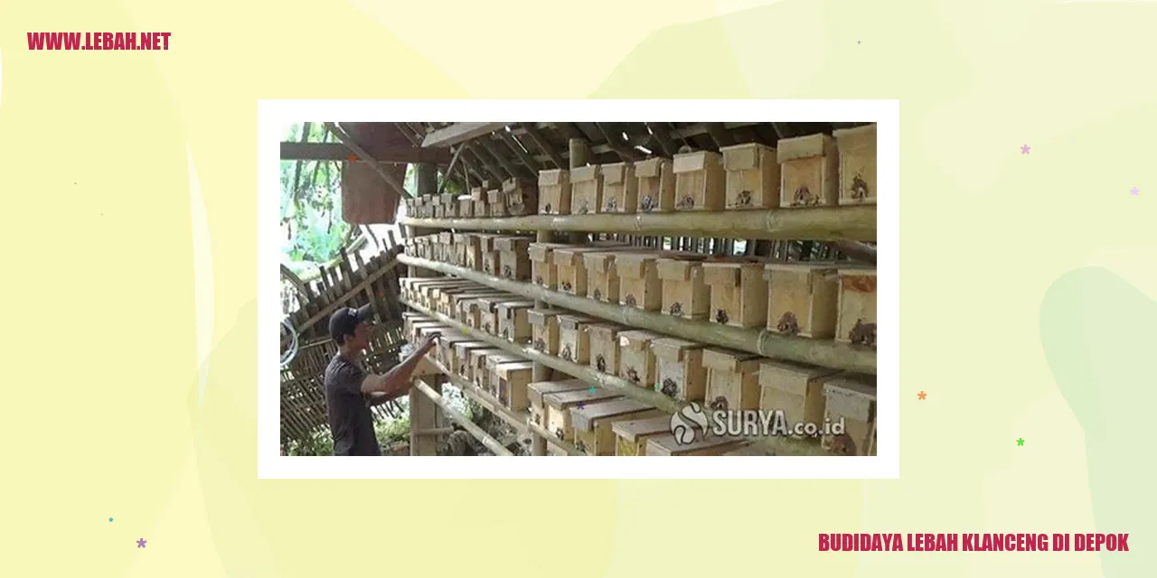 Budidaya Lebah Klanceng di Depok