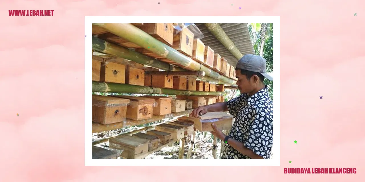 Budidaya Lebah Klanceng